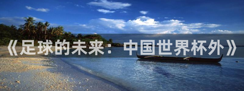世界杯直播观看：《足球的未来：中国世界杯外》