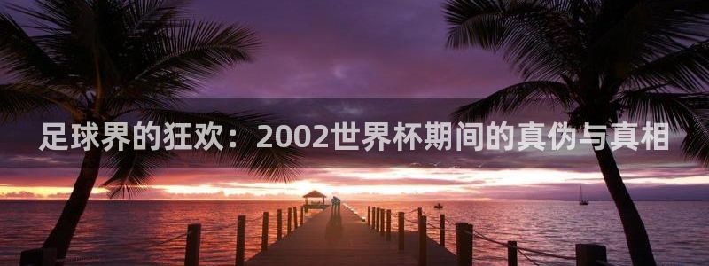 世界杯直播高清：足球界的狂欢：2002世界杯期间的真伪与真相