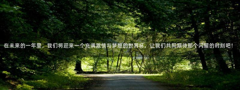 世界杯时间：在未来的一年里，我们将迎来一个充满激情与梦想的世界杯，让我们共同期待那个闪耀的时刻吧！