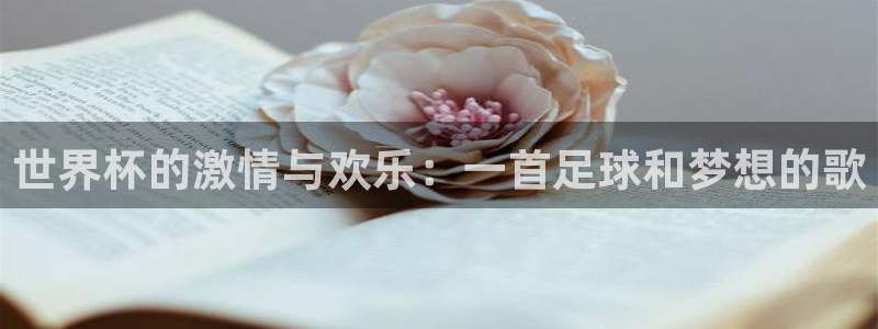 今年世界杯：世界杯的激情与欢乐：一首足球和梦想的歌
