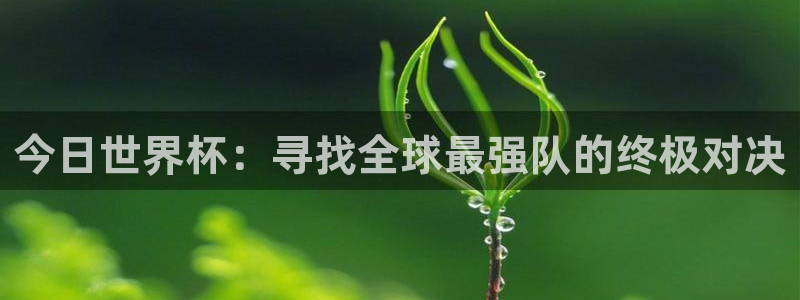 2026年世界杯时间表：今日世界杯：寻找全球最强队的终极对决