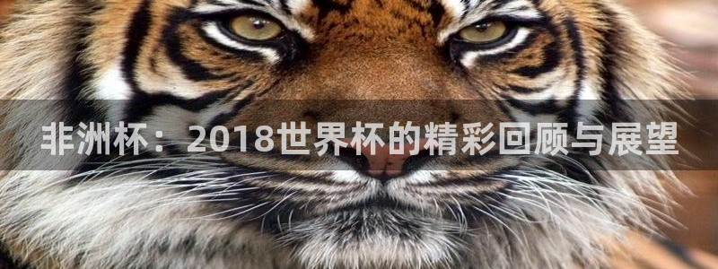 世界杯直播平台：非洲杯：2018世界杯的精彩回顾与展望