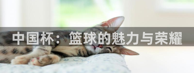 世界杯欧洲区预选赛赛程：中国杯：篮球的魅力与荣耀