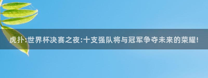 世预赛免费直播入口：虎扑:世界杯决赛之夜:十支强队将与冠军争夺未来的荣耀!