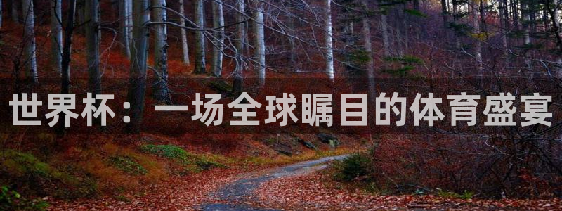 足球比分直播世界杯：世界杯：一场全球瞩目的体育盛宴