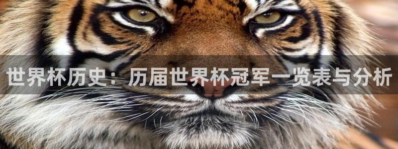2026年世界杯赛程表时间：世界杯历史：历届世界杯冠军一览表与分析